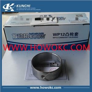 Sinotruk HOWO skirstomojo veleno įvorė WP12 61560010029 612630010075